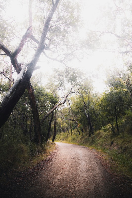 pat-whelen-QVWX-IUrBBQ-unsplash (1)