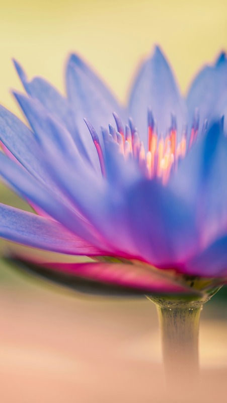 benjamin-lizardo-V9XdQA_Lz-8-unsplash (1)